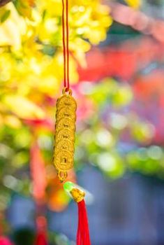 mậu binh trực tuyến Nohu
